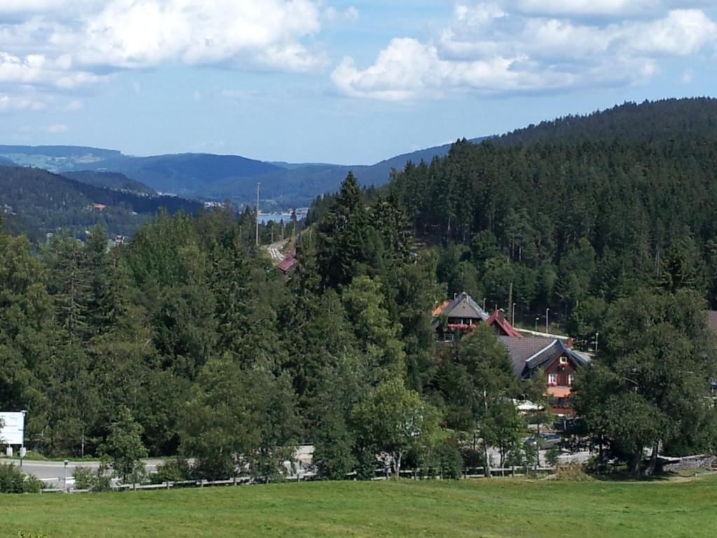 Schwarzwald-Chalet Feldberg Feldberg  Exterior foto